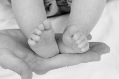 Galerie_Photographie_0005- Galerie_Photographie_0005-